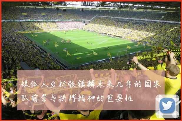 媒体人分析张镇麟未来几年的国家队前景与拼搏精神的重要性