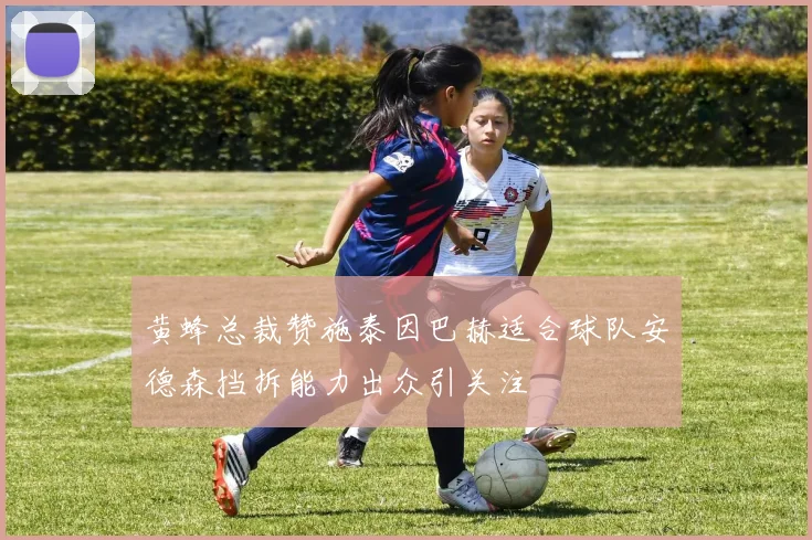 黄蜂总裁赞施泰因巴赫适合球队安德森挡拆能力出众引关注