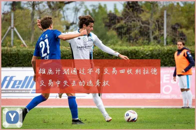 雄鹿计划通过字母交易回收利拉德交易中失去的选秀权